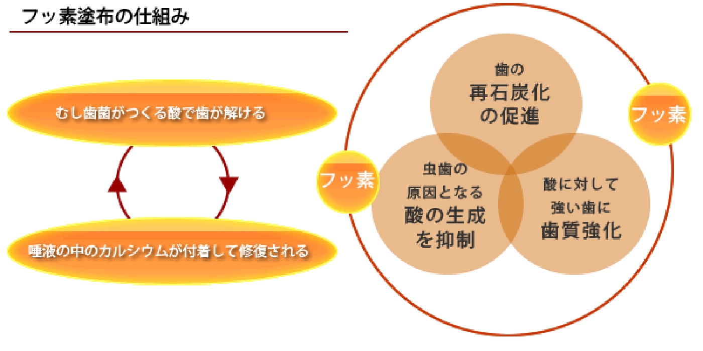 予防治療の画像