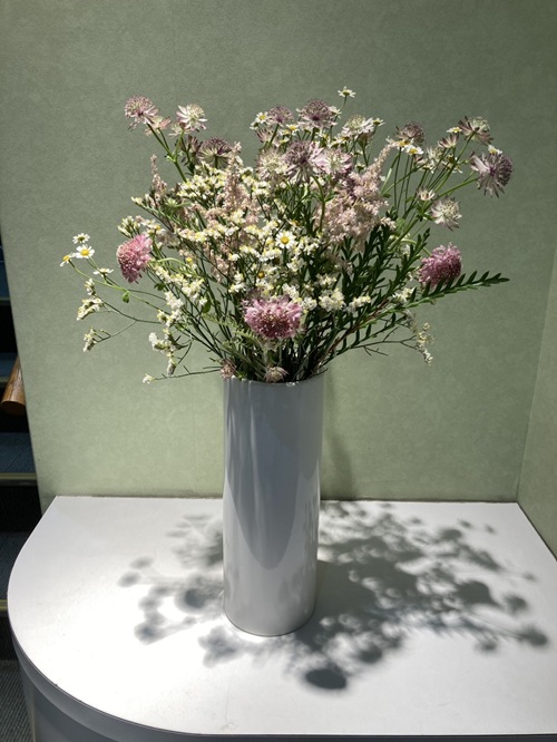 今週のお花
