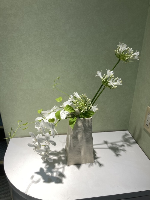 ミディーコチョウラン:上品で優雅な花姿が特徴で、空間に高級感と華やかさを添えます。 アガパンサス:すっと伸びた茎に涼しげな花を咲かせ、清涼感と品のある雰囲気を演出します。 リキュウソウ:細く伸びるつる状の葉が動きを生み、アレンジにやさしい流れを加えます。