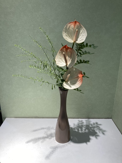 今週のお花