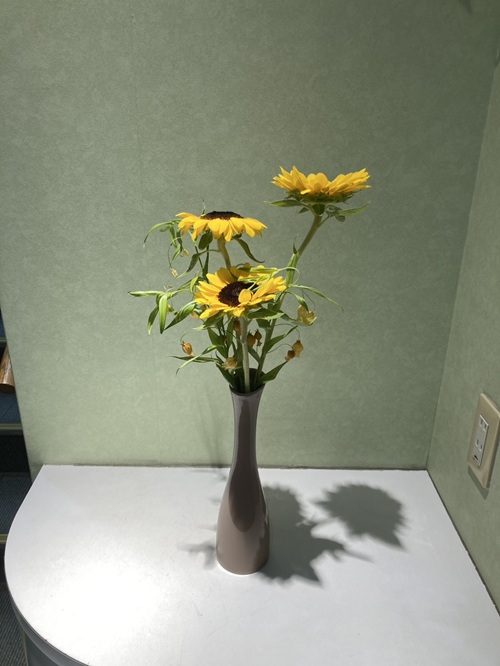 元気いっぱいのひまわりに、可愛らしいサンダーソニア