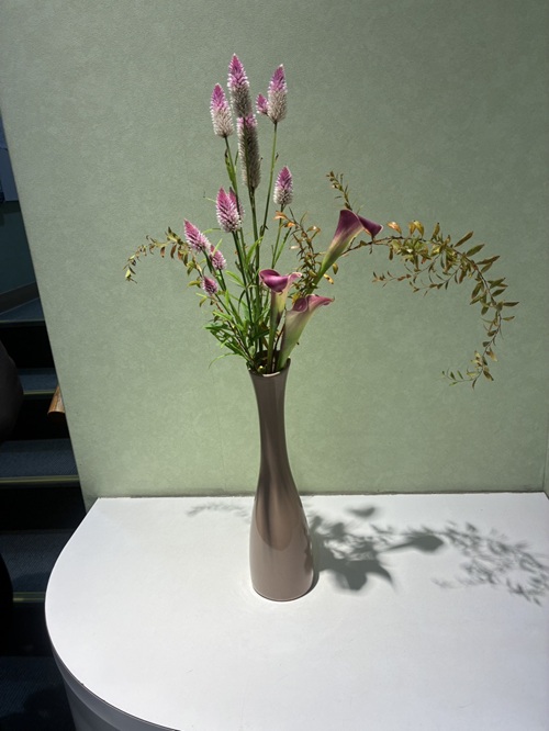 今週の院内アレンジは、柔らかなユキヤナギに、すっきりと上品なカラー、そして深みのあるケイトウを合わせました。動きと存在感のバランスが美しい、季節感あふれるアレンジです。